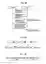 Fig. 21 - System including a server and at least a client