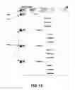 Fig. 21 - ABSTRACTIONS IN DISC AUTHORING
