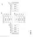 Fig. 03 - GENERATION OF MENU PRESENTATION RELATIVE TO A GIVEN MENU ORIENTATION
