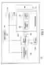 Fig. 06 - SYSTEM AND METHOD FOR INTERFACING WITH INFORMATION ON A DISPLAY SCREEN