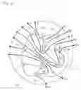 Fig. 12 - METHOD OF DETERMINING WIRE PATTERN ON BOARD AND BOARD DESIGNED BY THE METHOD