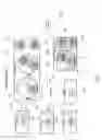Fig. 04 - Identifying, Correcting and Displaying Application Website and Device Compatibility Issues