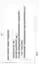 Fig. 10 - Software technique to correlate conceptually similar entities