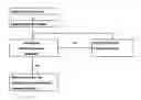 Fig. 01 - Co-ordinated on-line video viewing