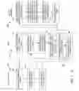 Fig. 04 - Method and apparatus for accepting a digital identity of a user based on transitive trust among parties
