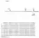 Fig. 02 - Transgenic Frog Lines and Assays Employing Them