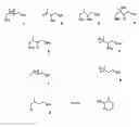 Fig. 01 - METHYL-D-ERYTHRITOL PHOSPHATE PATHWAY GENES