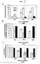 Fig. 09 - Expression vectors pSSA-K and pSSA-H for expression of SOD and APX in plants to provide stress tolerance