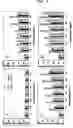 Fig. 10 - Expression vectors pSSA-K and pSSA-H for expression of SOD and APX in plants to provide stress tolerance