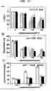 Fig. 12 - Expression vectors pSSA-K and pSSA-H for expression of SOD and APX in plants to provide stress tolerance