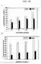 Fig. 13 - Expression vectors pSSA-K and pSSA-H for expression of SOD and APX in plants to provide stress tolerance