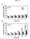 Fig. 14 - Expression vectors pSSA-K and pSSA-H for expression of SOD and APX in plants to provide stress tolerance