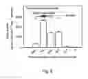 Fig. 10 - promoter