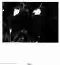 Fig. 02 - Apple tree named 'RS103-130'