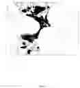 Fig. 03 - Apple tree named 'RS103-130'