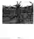 Fig. 05 - Apple tree named 'RS103-130'