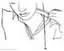 Fig. 01 - Garment protectors