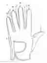 Fig. 01 - GOLF GLOVE