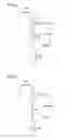 Fig. 12 - GOLF GLOVE