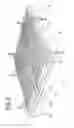 Fig. 04 - Bedrest with modular structure