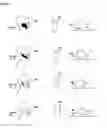 Fig. 10 - Method of producing pillows for sleep