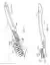 Fig. 06 - Toothbrush