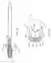 Fig. 07 - Toothbrush