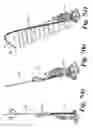 Fig. 06 - Handle assembly for a cleaning appliance