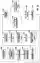 Fig. 11 - Method and apparatus for installing fasteners