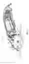 Fig. 03 - Hand-Held Circular Saw, In Particular Plunge-Cut Saw