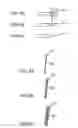 Fig. 04 - Optical Shaving Apparatus