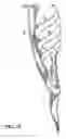 Fig. 14 - Reinforcing Cage For Shoes