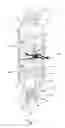 Fig. 02 - Automatic take-up device and in-line coupler