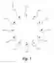 Fig. 02 - Child development and education apparatus and method using visual stimulation