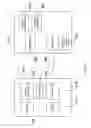 Fig. 11 - Method and apparatus for varying animal correction signals