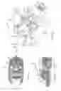 Fig. 11 - Switching Finger Follower Assembly