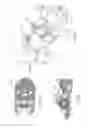 Fig. 14 - Switching Finger Follower Assembly