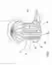Fig. 06 - Automatic cleaning drain structure