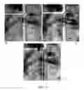 Fig. 04 - Plasmon assisted control of optofluidics