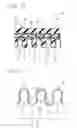Fig. 09 - Composite Hose with a Corrugated Metal Tube and Method for Making the Same