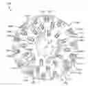 Fig. 01 - Stump grinding wheel