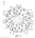 Fig. 06 - Stump grinding wheel