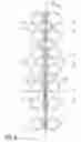 Fig. 07 - Reduced vibration tube bundle device having slotted baffles
