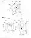 Fig. 08 - Hammer drill