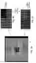 Fig. 05 - Variable interconnect geometry for electronic packages and fabrication methods