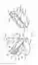 Fig. 08 - Passive secondary air muffler
