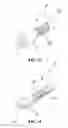 Fig. 16 - Fluid damper