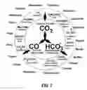 Fig. 09 - ELECTROCHEMICAL METHODS TO GENERATE HYDROGEN AND SEQUESTER CARBON DIOXIDE