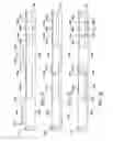 Fig. 14 - Filter element and filter assembly including locking mechanism