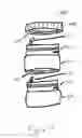 Fig. 05 - Apparatus for a size adjustable container